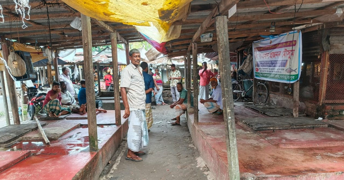 গঙ্গাচড়ায় মাছের বাজারে ধর্মঘট, বিপাকে ক্রেতারা