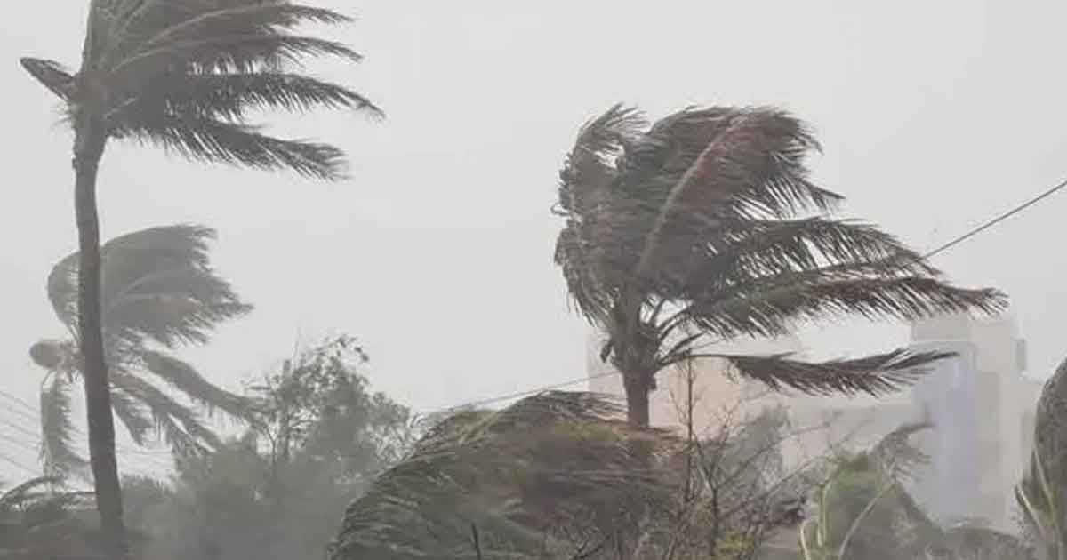 সন্ধ্যার মধ্যে ৭ জেলায় ঝড়ের আভাস