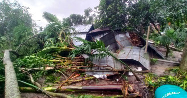 রংপুরের গঙ্গাচড়ায় হঠাৎ ঘূর্ণিঝড়ের তাণ্ডব, বিধ্বস্ত ৮০০ ঘরবাড়ি