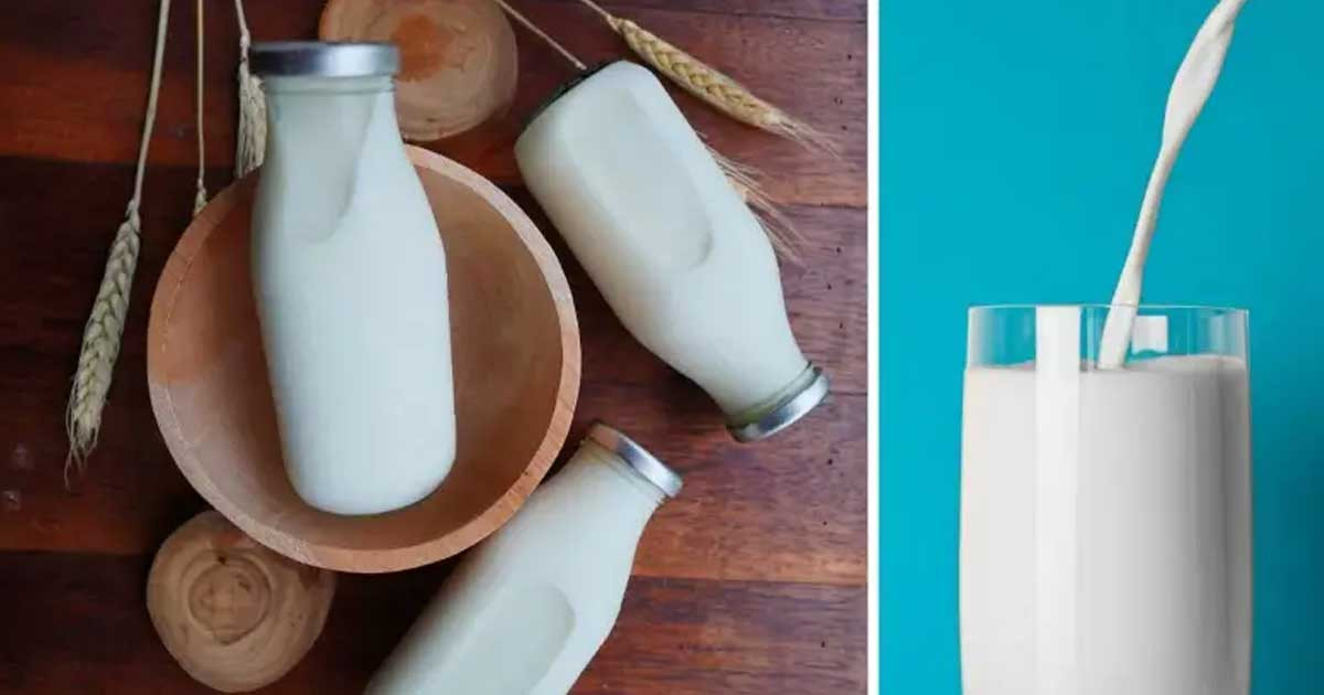 রাতে ঘুমাতে যাওয়ার আগে একগ্লাস দুধ পান করলে যা হয়