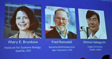 চিকিৎসাবিজ্ঞানে নোবেল পেলেন ৩ জন