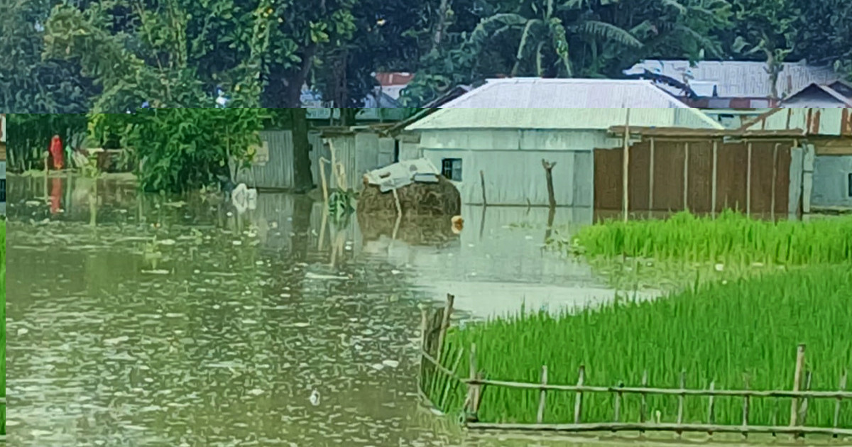 কুড়িগ্রামে তিস্তার ভয়াবহ প্লাবন, পানিবন্দি ৩ হাজার মানুষ