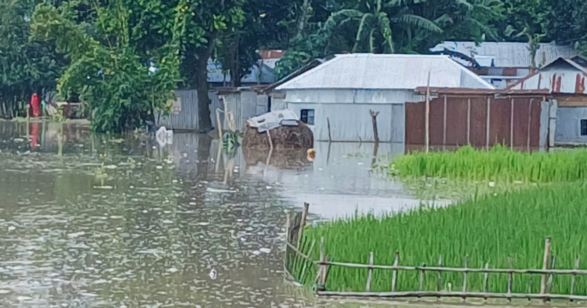 কুড়িগ্রামে তিস্তার ভয়াবহ প্লাবন, পানিবন্দি ৩ হাজার মানুষ