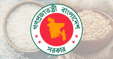 বিপুল পরিমাণ গম ও চাল কিনছে সরকার