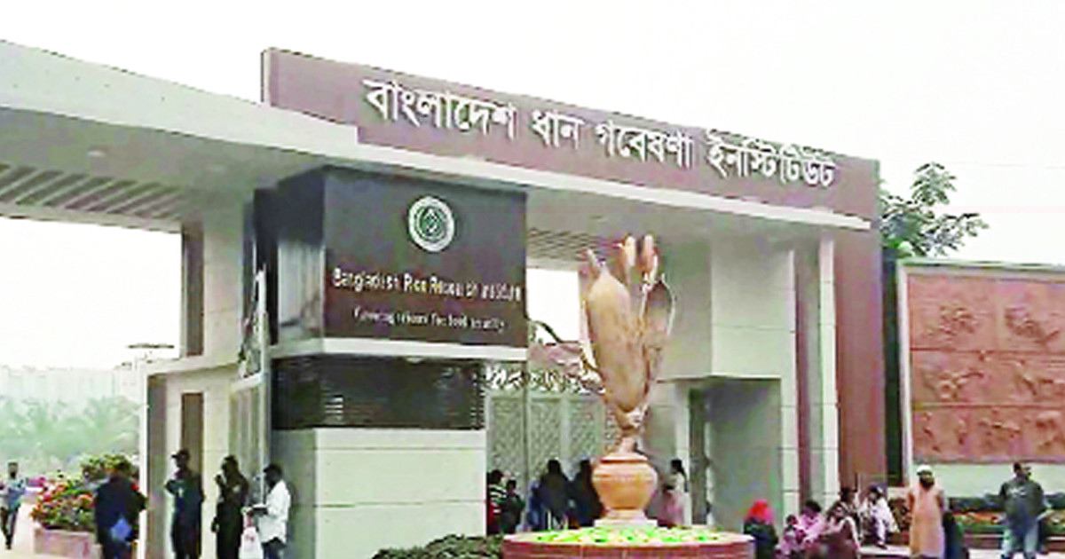 ধান গবেষণা ইনস্টিটিউটে চাকরির সুযোগ, আবেদন করতে পারবেন যারা