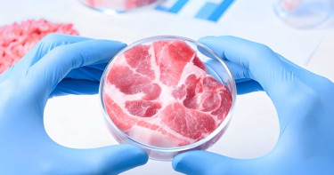 ভাইরাস আক্রান্ত প্রাণীর গোশত বিক্রি করা