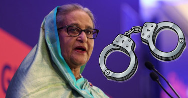 হাসিনার শাসনামলে গুমের শিকার বিশেষ বন্দিদের ডাকা হতো ‘মোনালিসা’