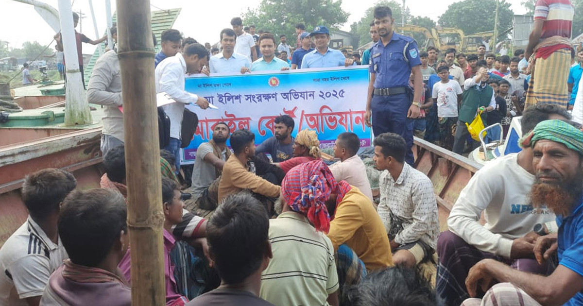 পদ্মা নদীতে মা ইলিশ ধরায় ১৬ জেলের কারাদণ্ড