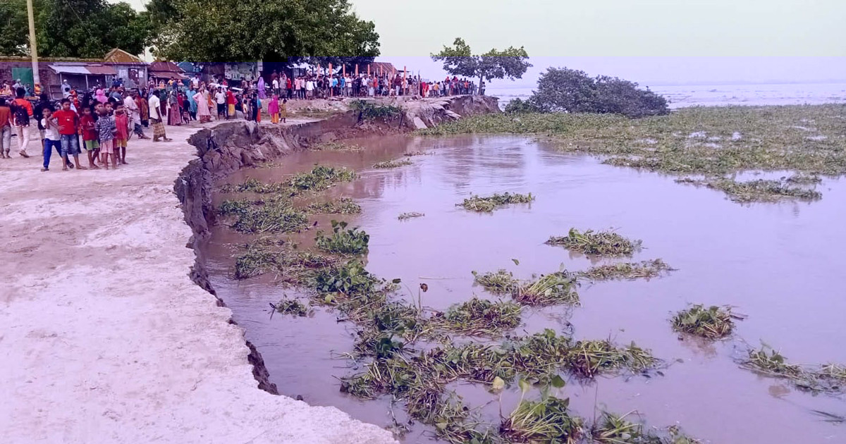 বগুড়ার ধুনটে যমুনার তীরে ভাঙন, আতঙ্কে তীরবর্তী মানুষ