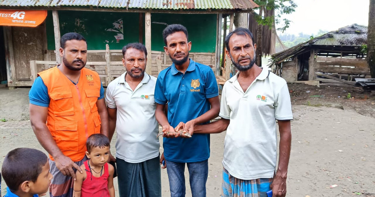 লোকালয়ে কুমিরের ছানা