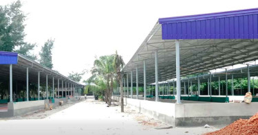 পূর্বাচলের ৩০০ ফিটে কৃষকের বাজারের উদ্বোধন আজ