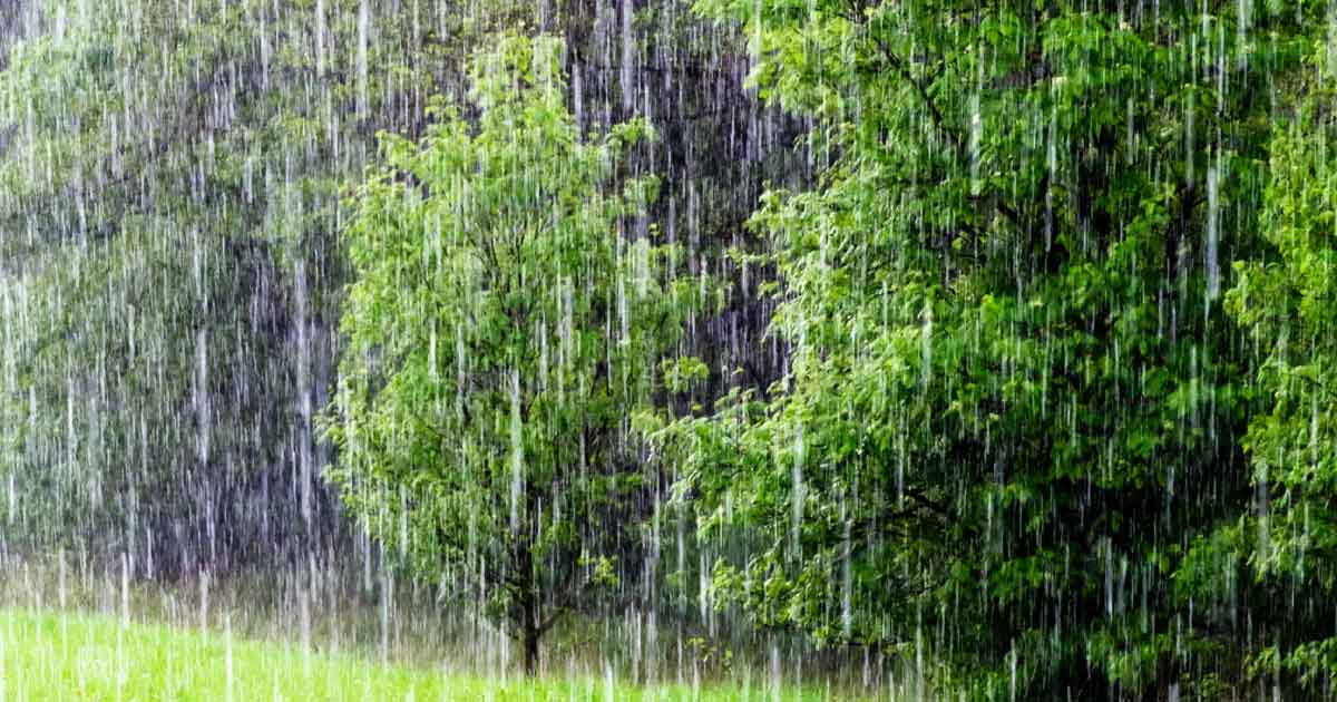 ৬ বিভাগে ভারি বর্ষণের আভাস