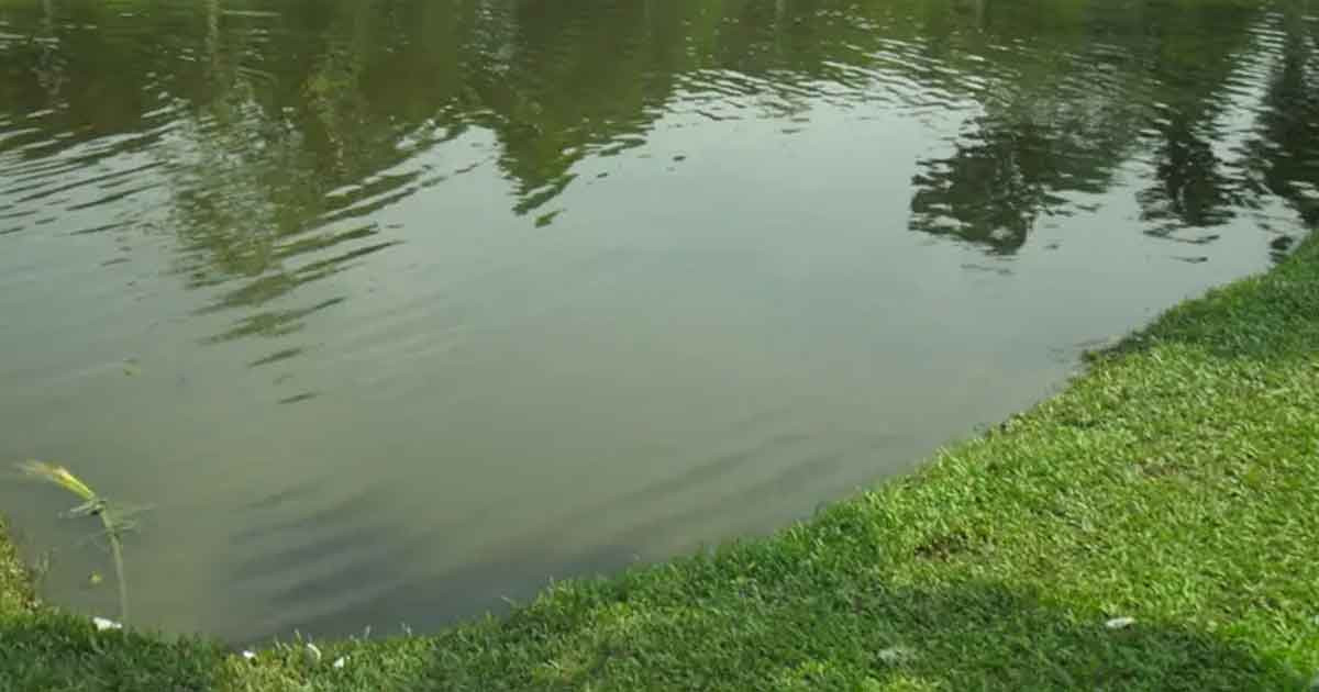 মাগুরায় পানিতে ডুবে ৩ শিশুর মৃত্যু