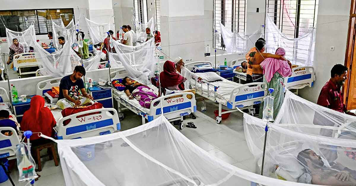 ডেঙ্গুতে আরও ৫ জনের মৃত্যু, হাসপাতালে ৮৪১