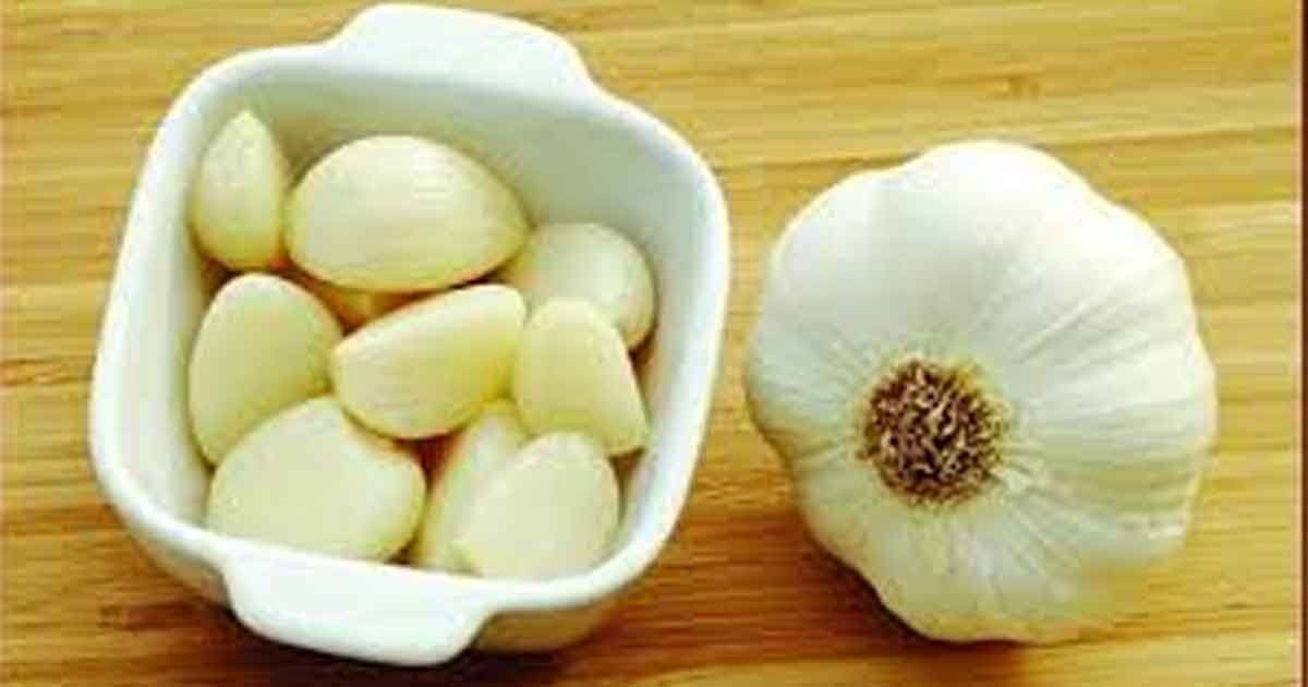 প্রতিদিন রসুন খেলে শরীরে কী পরিবর্তন ঘটে