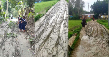 উল্লাপাড়া অলিপুর-সড়াতৈল কাঁচা সড়কে দুর্ভোগে হাজারও মানুষ