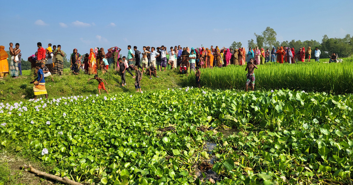 ডোবার কচুরিপানার নিচে মানুষের পায়ের কঙ্কাল