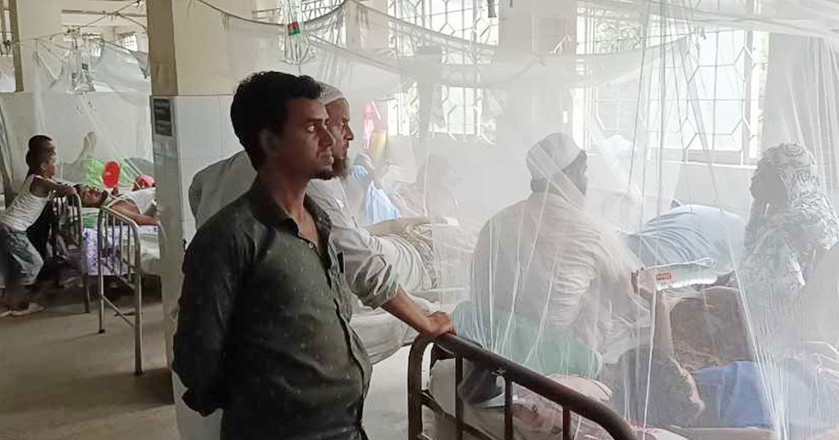 ডেঙ্গুর প্রকোপ বাড়ছে, সংক্রমণ ৬০ হাজার ছুঁইছুঁই