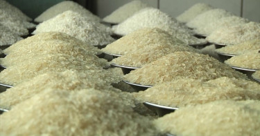 মিয়ানমার-দুবাই থেকে এক লাখ টন চাল কিনছে সরকার