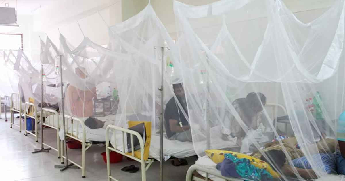 ২৪ ঘণ্টায় ডেঙ্গুতে মৃত্যু ৪, হাসপাতালে ৮০৩