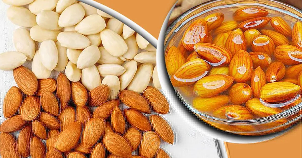 ভেজা না শুকনা, কীভাবে কাঠবাদাম খেলে মিলবে বেশি উপকার
