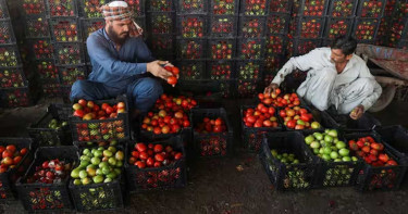 আফগানিস্তানের সঙ্গে সীমান্ত বন্ধের পর পাকিস্তানে টমেটোর কেজি ৬০০ রুপি