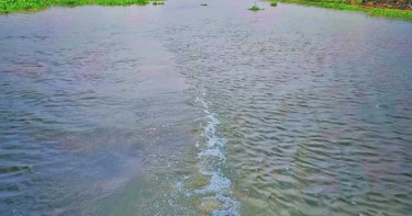 কিশোরগঞ্জে খেলতে গিয়ে পানিতে পড়ে প্রাণ গেল ৩ শিশুর
