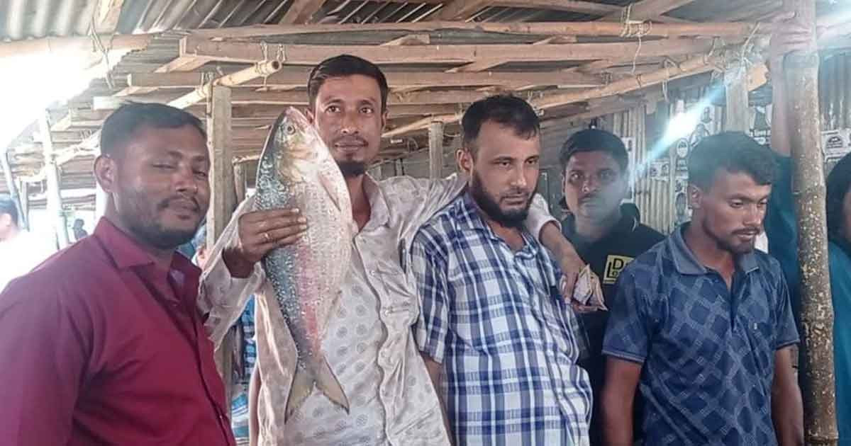 আড়াই কেজির এক ইলিশ ৯২০০ টাকায় বিক্রি