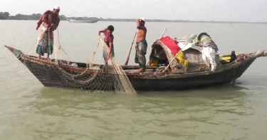 নিষেধাজ্ঞা শেষে লক্ষ্মীপুরের মেঘনায় ইলিশ ধরা শুরু, দামও কমেছে