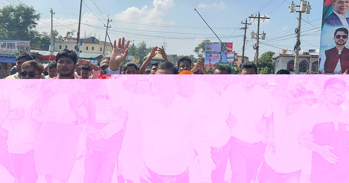 ধানের শীষ উন্নয়নের প্রতীক: কাদের গনি চৌধুরী