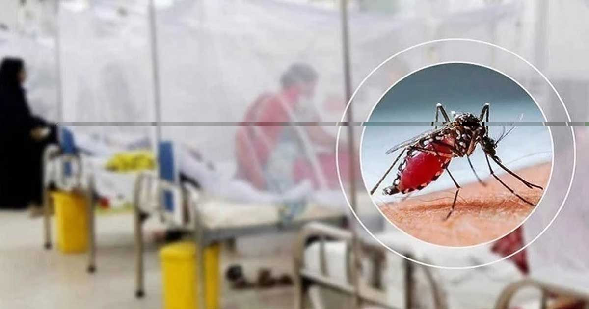 ডেঙ্গুতে আরো ৪ জনের মৃত্যু, হাসপাতালে ১০৪১