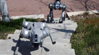 রোবট কুকুর ও এআই ড্রোনে চীনে সামরিক বিপ্লব