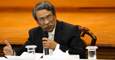 গণভোটে ‘না’ জয়ী হলে কী হবে, জানালেন আলী রীয়াজ