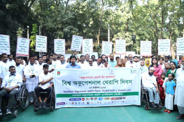 বিশ্ব অকুপেশনাল থেরাপি দিবস পালিত