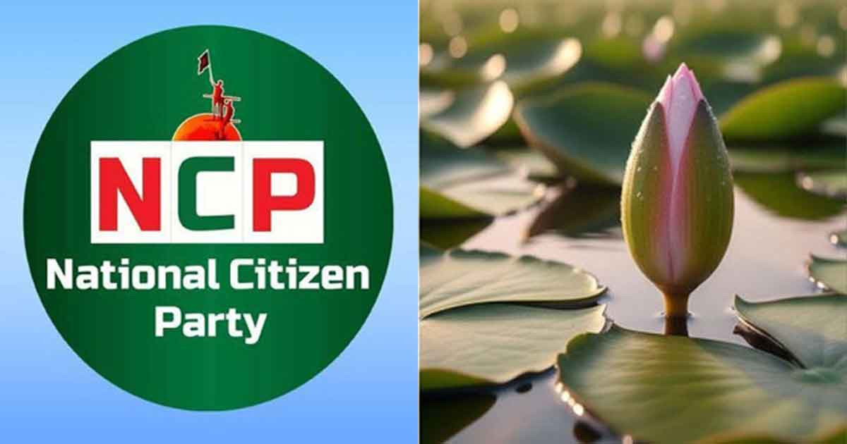 ‘শাপলা কলি’ কেমন দৃষ্টিনন্দন তা বুঝতে চাই