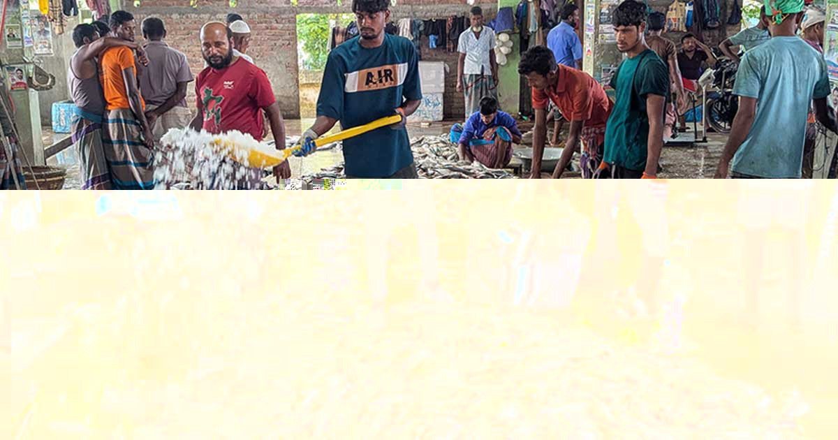 জাটকা শিকারে নিষেধাজ্ঞা মধ্যরাত থেকে শুরু হচ্ছে