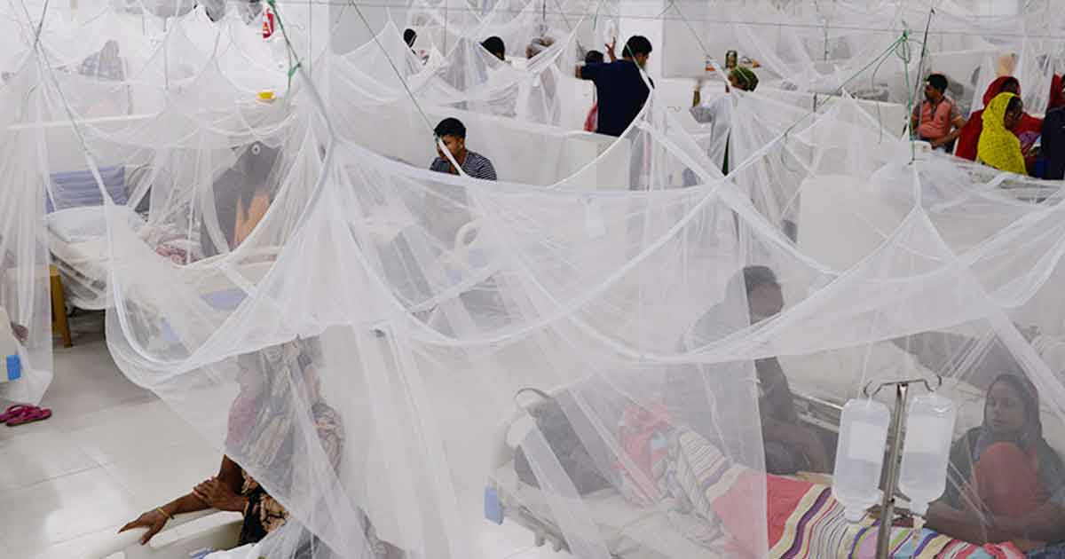 দেশে ডেঙ্গু আক্রান্ত ৭০ হাজার ছাড়াল