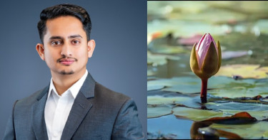 গ্রাম, শহর, অলিগলি জিতবে এবার ‘শাপলা কলি’