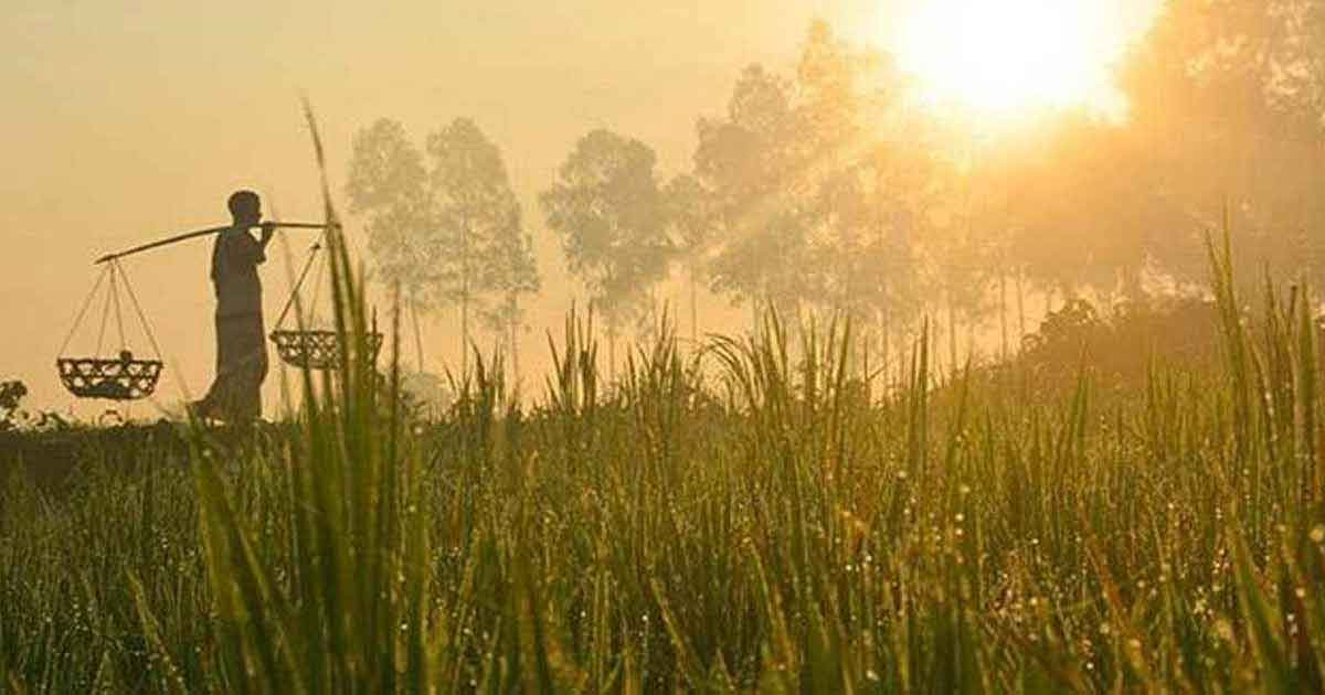 শৈত্যপ্রবাহ নিয়ে নতুন বার্তা দিল আবহাওয়া অফিস