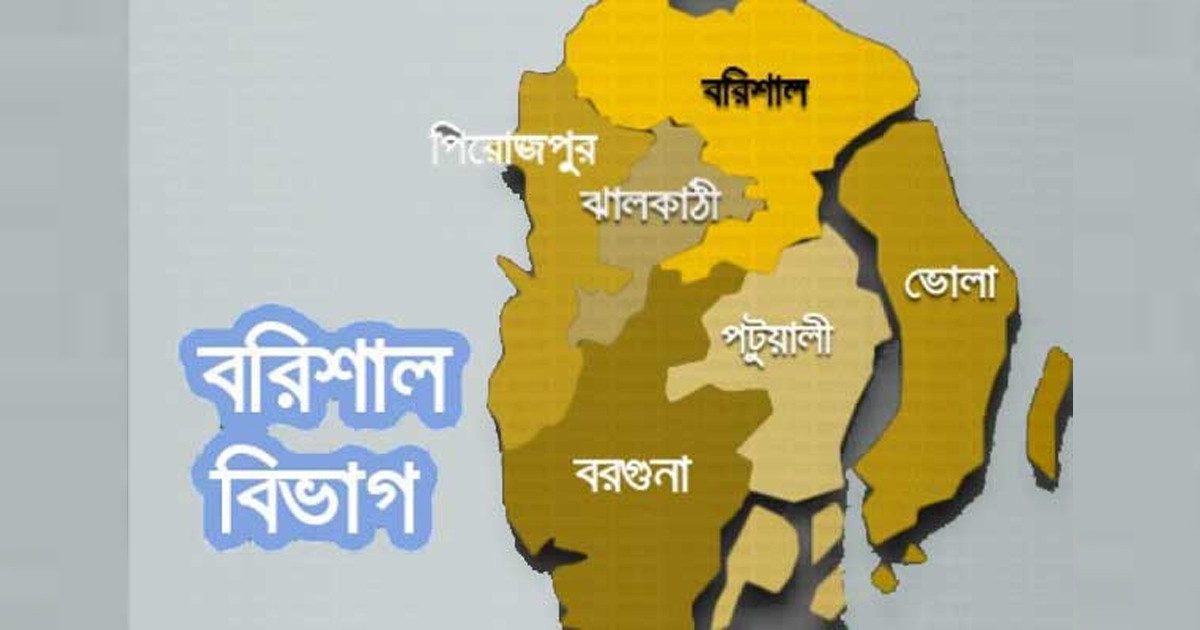 বরিশালের ১৬টি আসনে ধানের শীষের মনোনয়ন পেলেন যারা