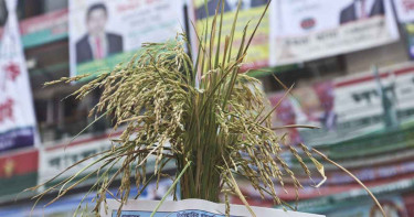 আমীর খসরু-হুম্মাম কাদেরসহ চট্টগ্রামে ধানের শীষের প্রার্থী যারা