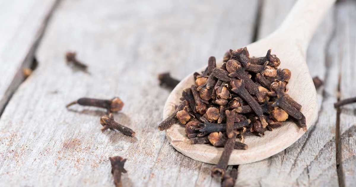 সকালে খালি পেটে লবঙ্গ খাওয়ার ১০ উপকারিতা