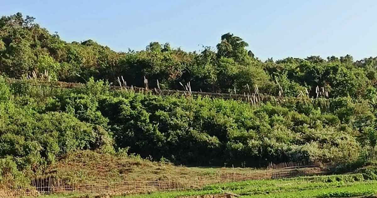 টেকনাফের গহীন পাহাড়ে শিশুসহ ২৫ জন উদ্ধার