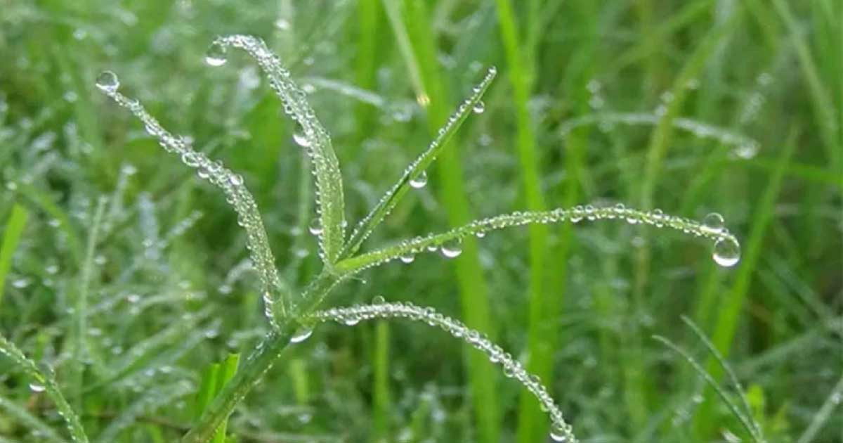 তীব্র শৈত্যপ্রবাহ নিয়ে নতুন বার্তা দিল আবহাওয়া অফিস