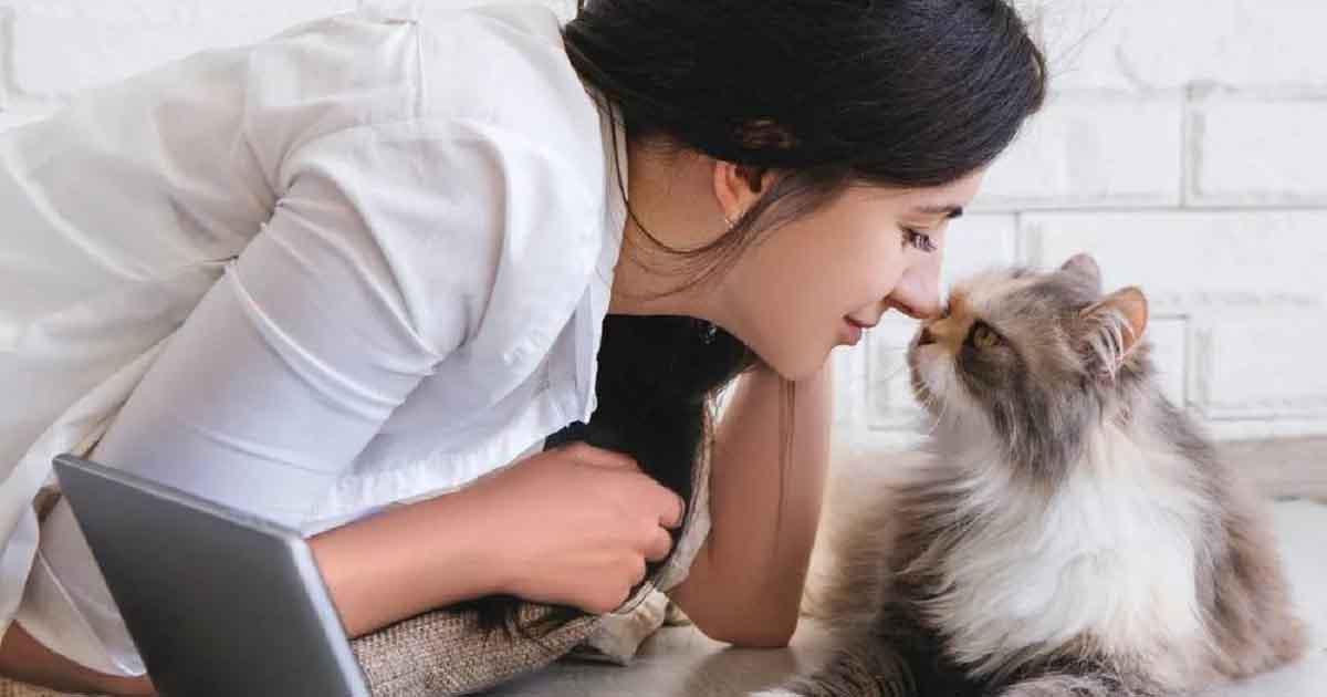 বিচ্ছেদের পর খোরপোশ ১১ লাখ ও বিড়াল পুষতে ৮ লাখ টাকা দাবি সাবেক স্ত্রীর