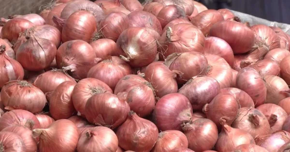 এবার পেঁয়াজের কেজি ১০০ টাকা ছাড়ালো