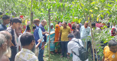 জঙ্গল থেকে অবসরপ্রাপ্ত সরকারি কর্মচারীর রক্তাক্ত মরদেহ উদ্ধার