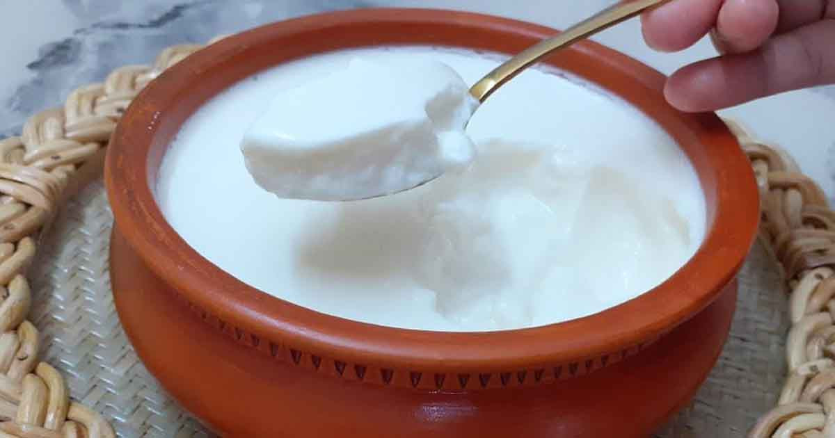 টক দই খেলে যেসব পরিবর্তন ঘটবে শরীরে