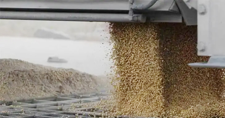 যুক্তরাষ্ট্র থেকে ১ বিলিয়ন ডলারের সয়াবিন কিনবে বাংলাদেশ