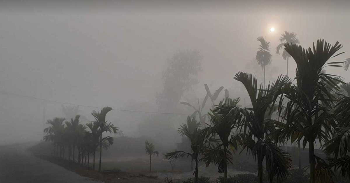 কুয়াশা নিয়ে আবহাওয়া অধিদপ্তরের নতুন বার্তা